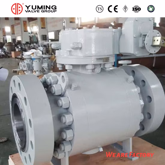 API 6D&API608 주강, Wcb, 탄소강, 스테인리스강 CF8, CF8m, A105/F304/F316 2PC 기어 작동 기능이 있는 플랜지형 파이프라인 트러니언 장착 볼 밸브